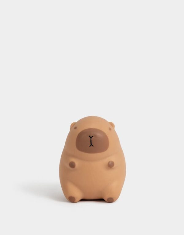 Capybara Squishy Toy – Wholesale & Private Label